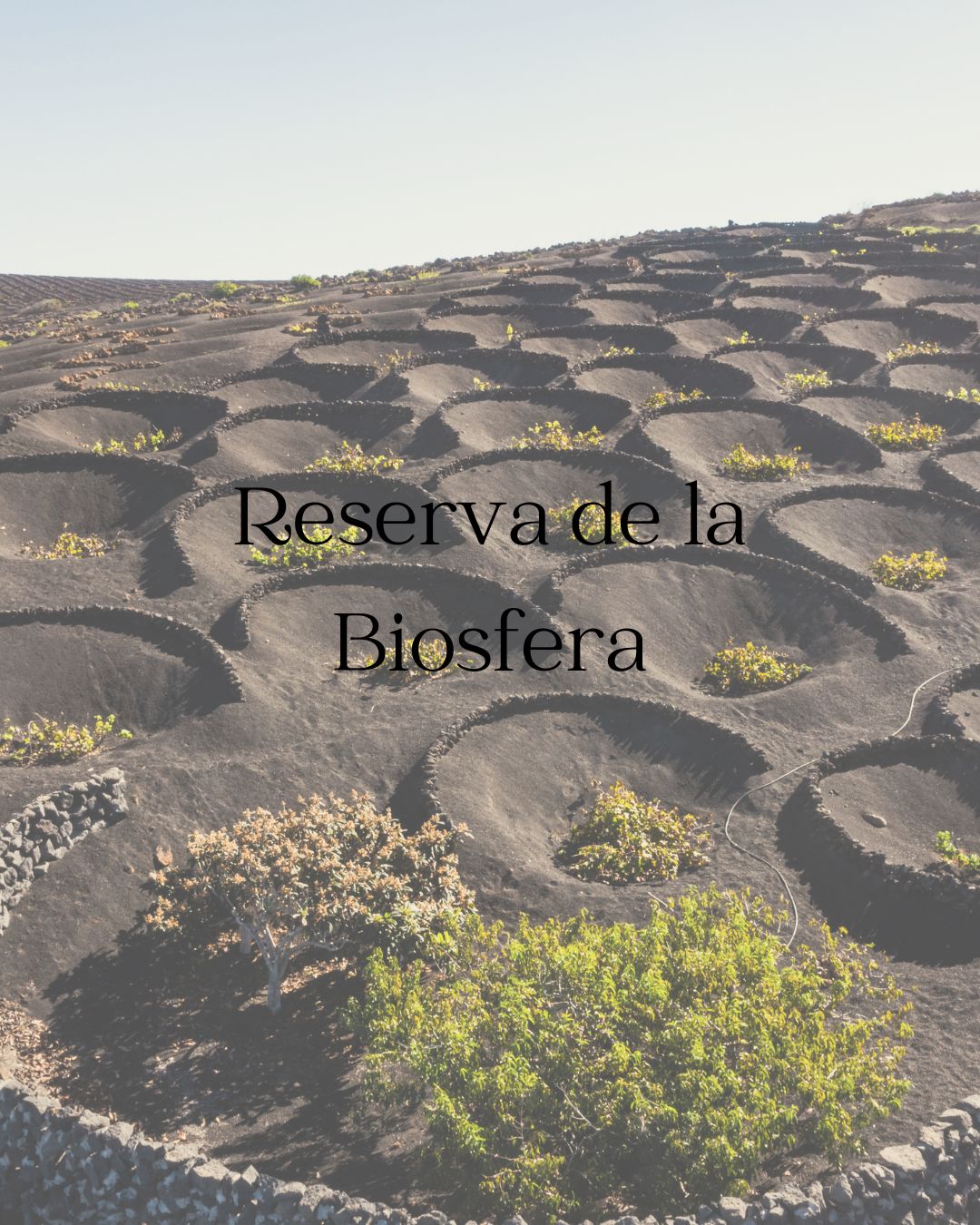 Lanzarote: Reserva de la Biosfera