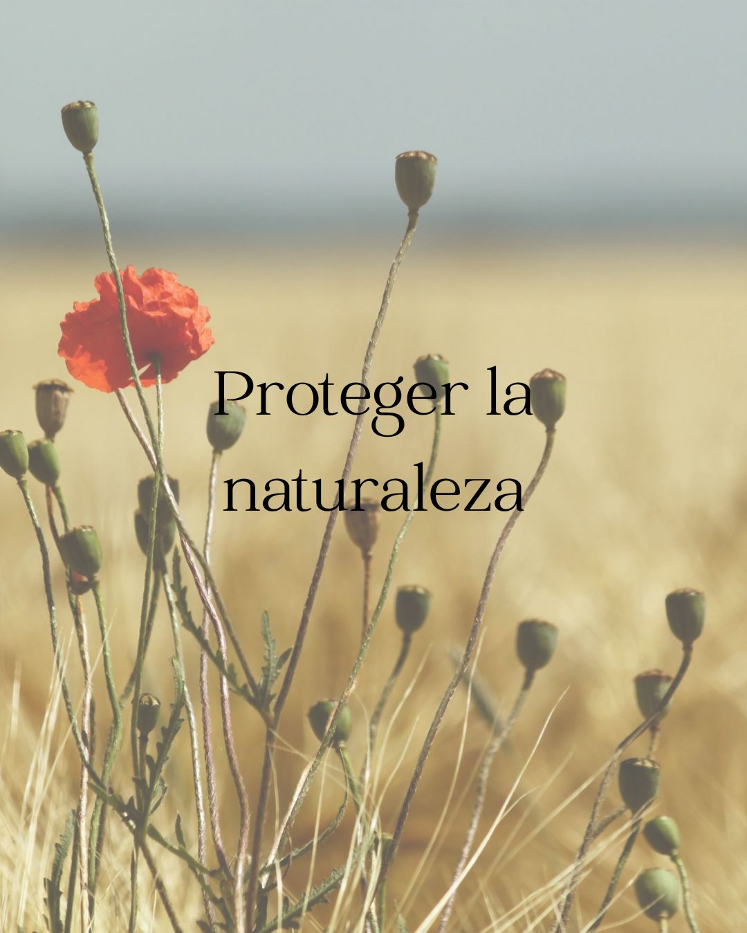 Proteger la naturaleza