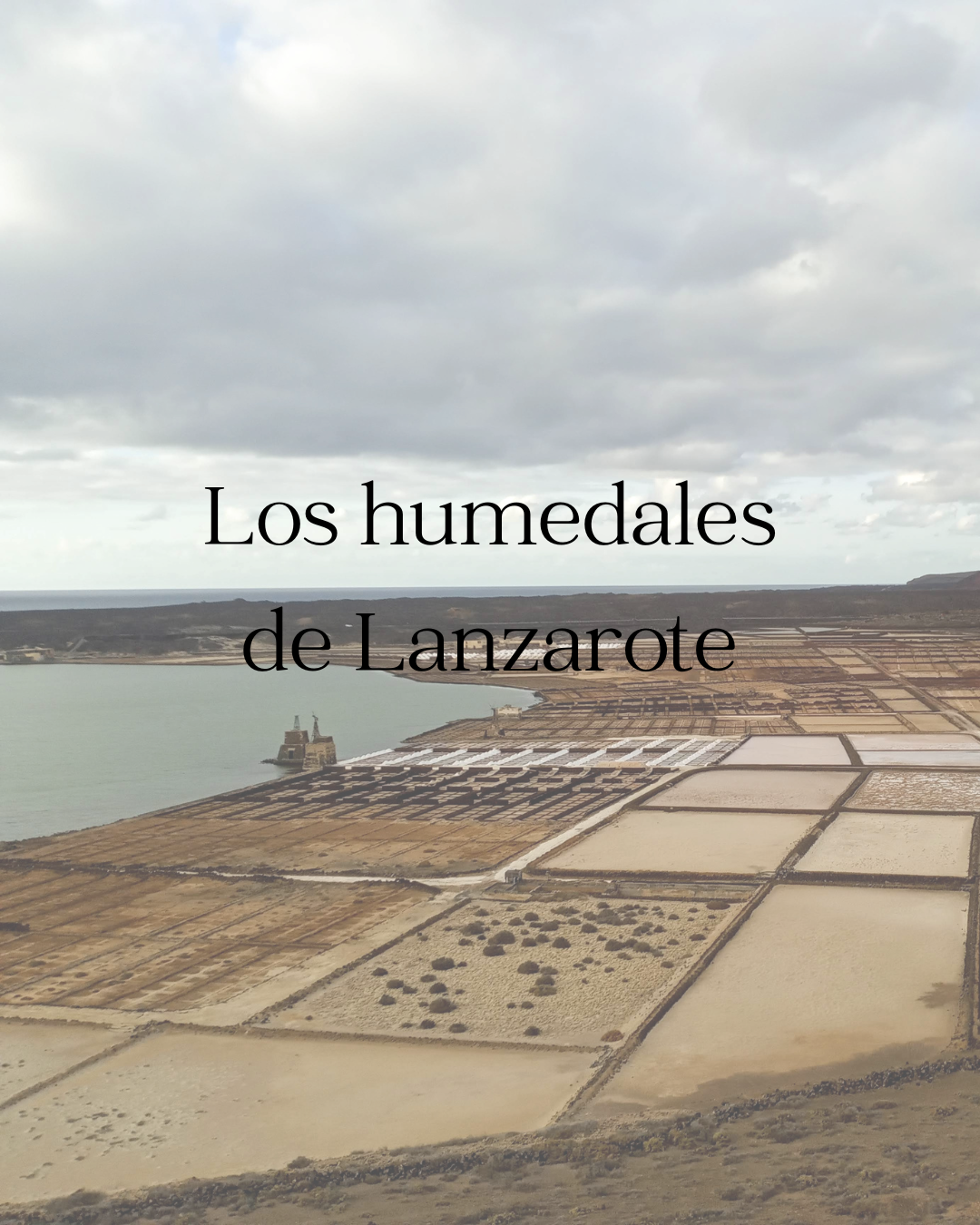 Los humedales: qué son y su importancia. El caso de Lanzarote