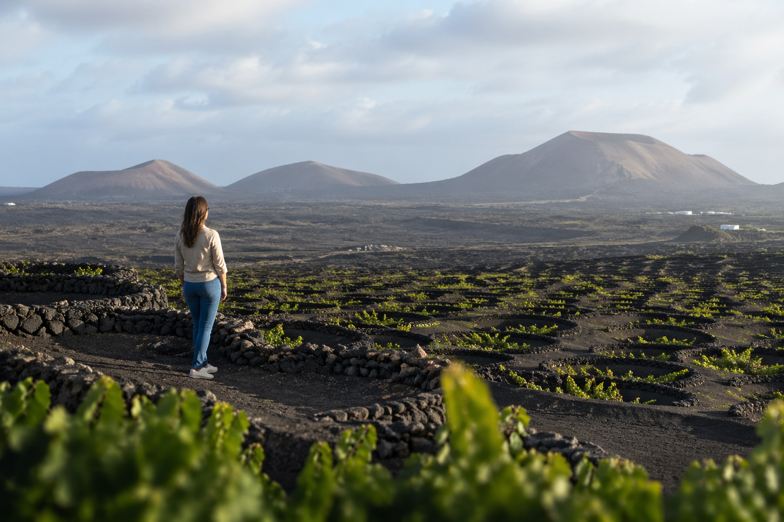 vino y territorio. Maria condo experiencias enoturisticas